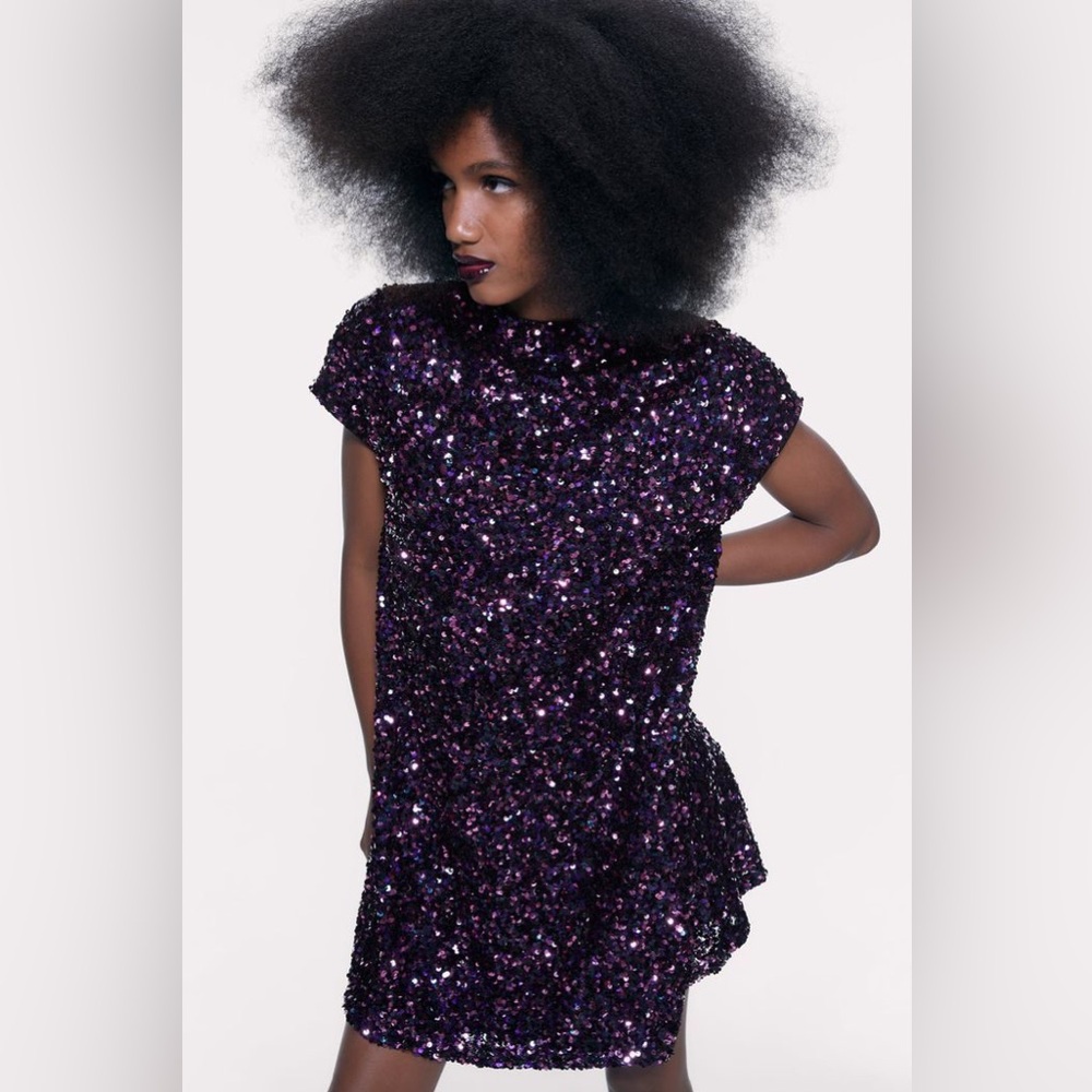 Zara Sequin Dress Medium